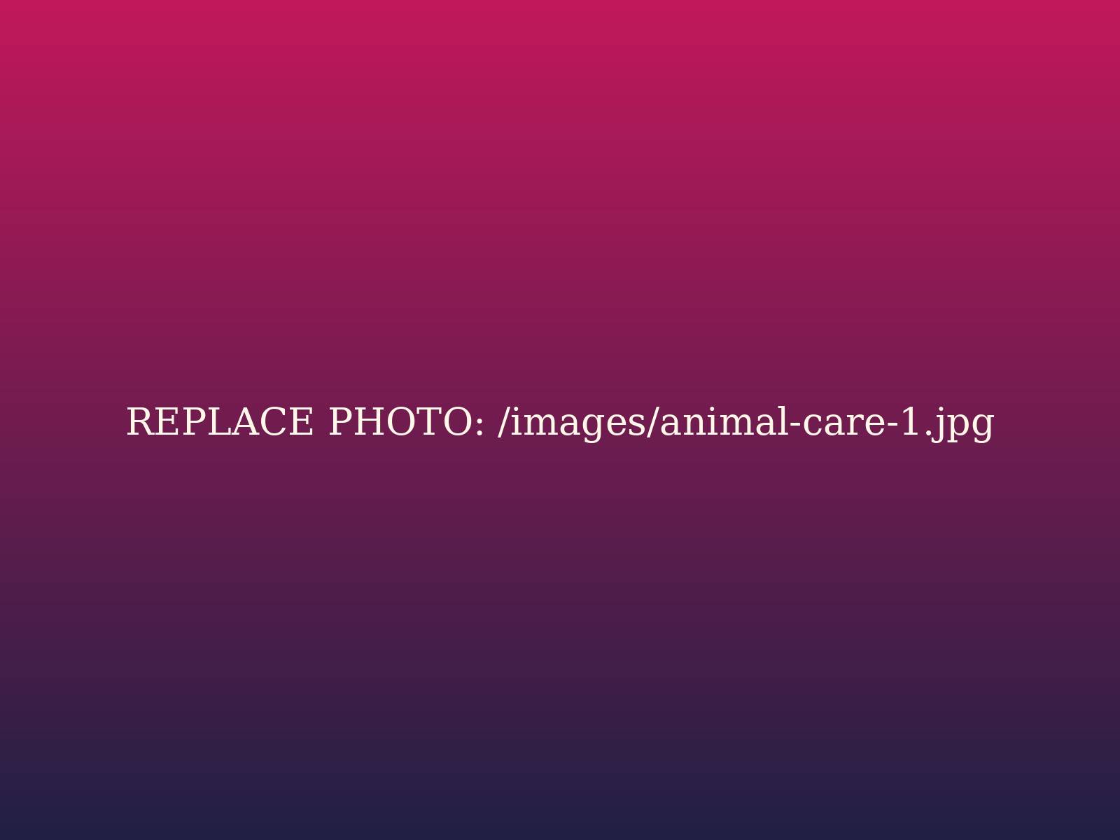 Compassion for Animals and Birds